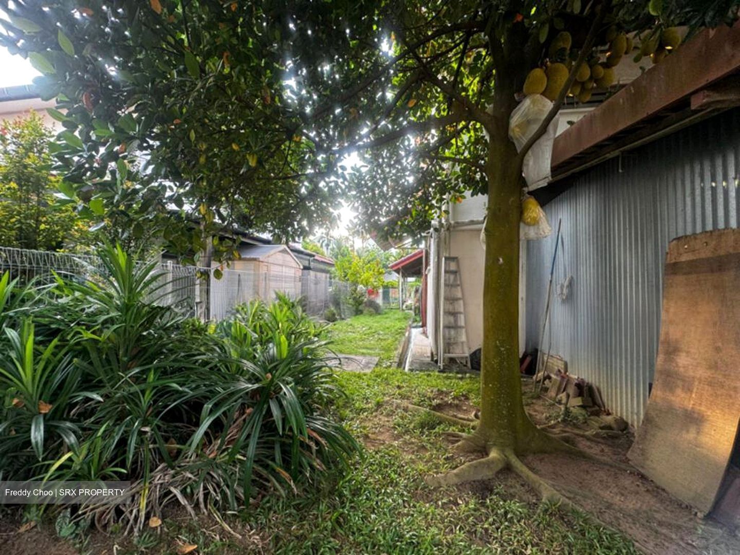 Bukit Loyang Estate (D17), Semi-Detached #500261351